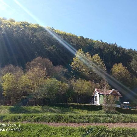 Vikendica Vrelo Pirot Dış mekan fotoğraf