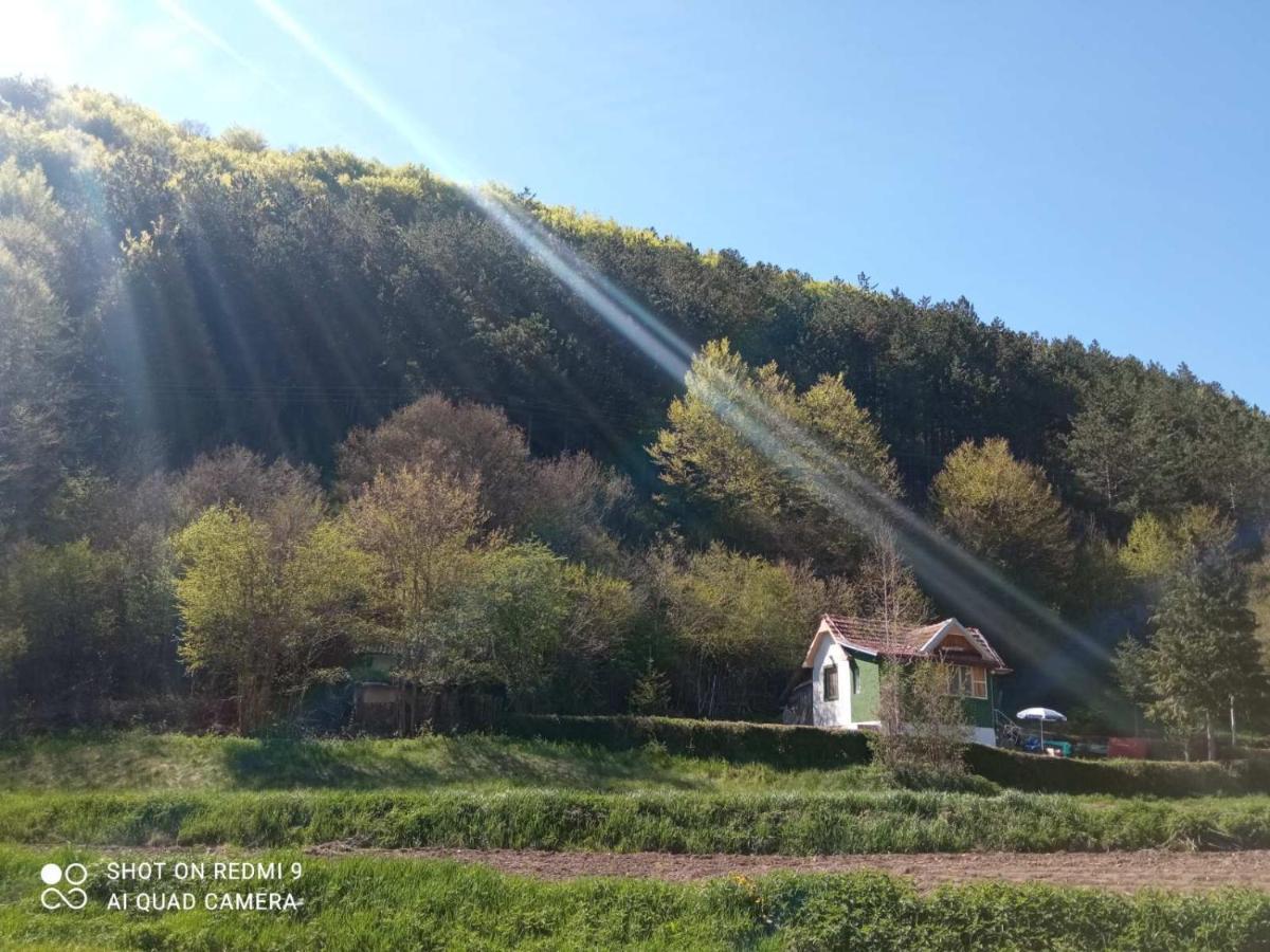 Vikendica Vrelo Pirot Dış mekan fotoğraf